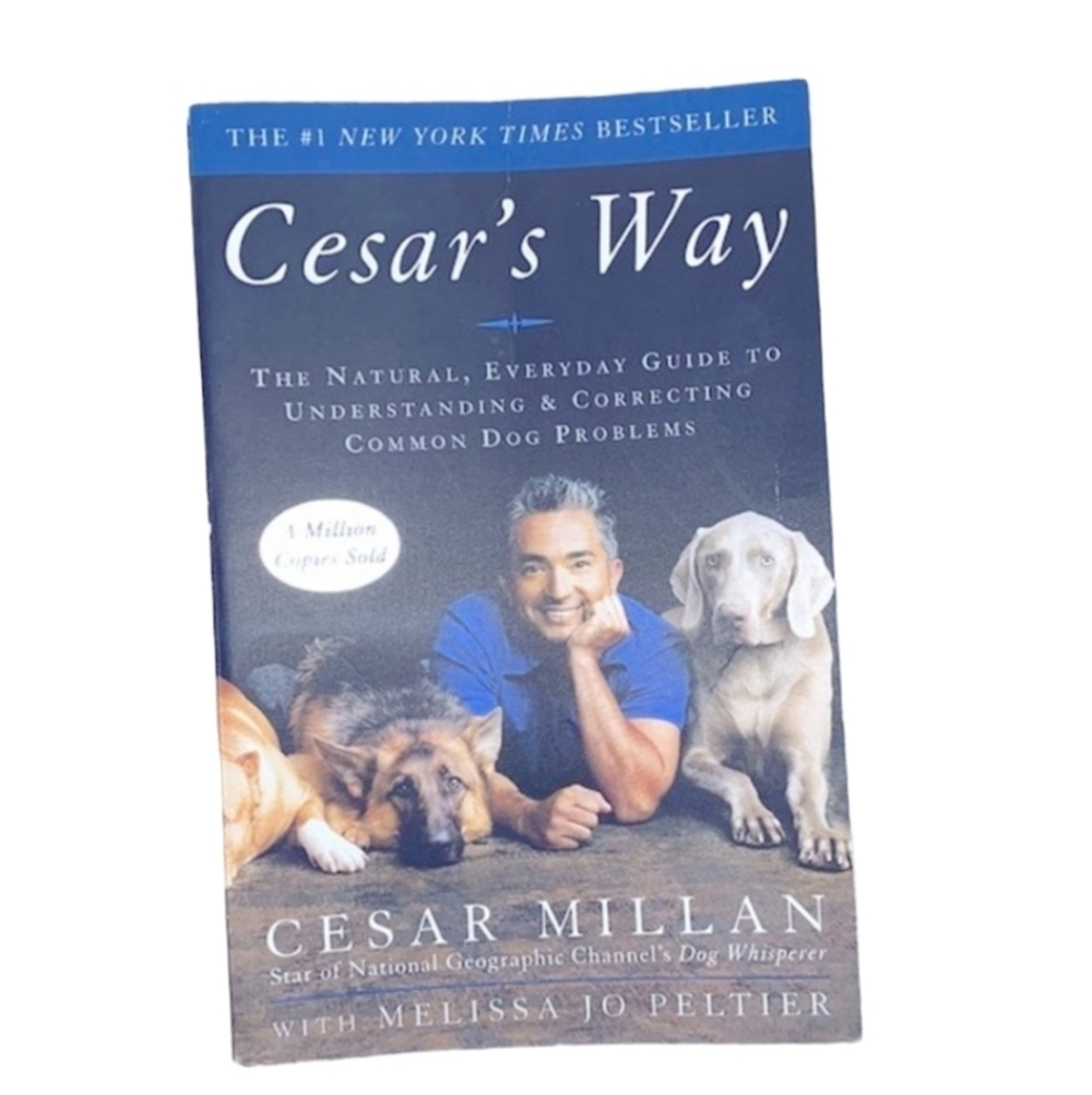 Cesar’s way correcting dog problems paperback book